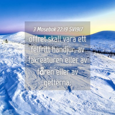 Picture 04 - 3 Mosebok 22:19 SV1917 - offret skall vara ett felfritt handjur, av - Bible Verse Picture