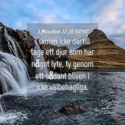 Picture 04 - 3 Mosebok 22:20 SV1917 - I skolen icke därtill taga ett djur som har - Bible Verse Picture