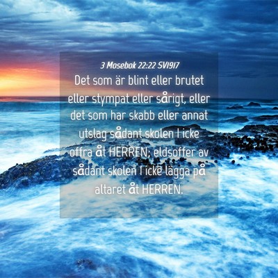 Picture 04 - 3 Mosebok 22:22 SV1917 - Det som är blint eller brutet eller stympat - Bible Verse Picture
