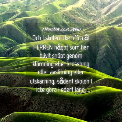Picture 04 - 3 Mosebok 22:24 SV1917 - Och I skolen icke offra åt HERREN något som har - Bible Verse Picture