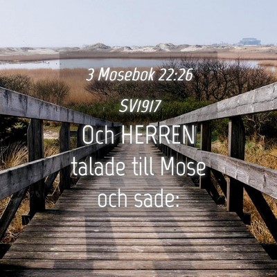 Picture 04 - 3 Mosebok 22:26 SV1917 - Och HERREN talade till Mose och - Bible Verse Picture