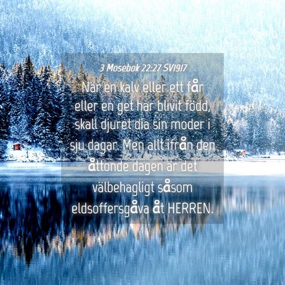Picture 04 - 3 Mosebok 22:27 SV1917 - När en kalv eller ett får eller en get har - Bible Verse Picture
