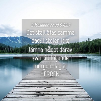 Picture 04 - 3 Mosebok 22:30 SV1917 - Det skall ätas samma dag; I skolen icke lämna - Bible Verse Picture