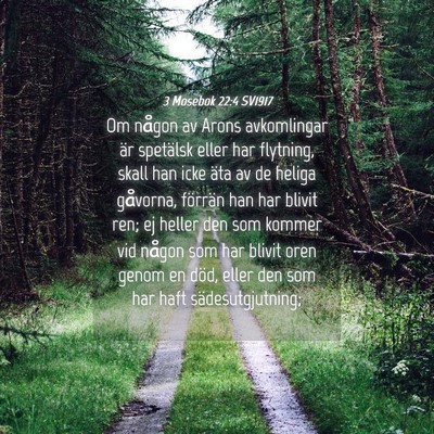 Picture 04 - 3 Mosebok 22:4 SV1917 - Om någon av Arons avkomlingar är spetälsk - Bible Verse Picture
