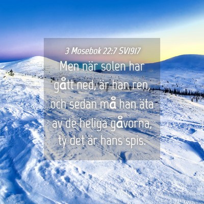 Picture 04 - 3 Mosebok 22:7 SV1917 - Men när solen har gått ned, är han ren, och - Bible Verse Picture