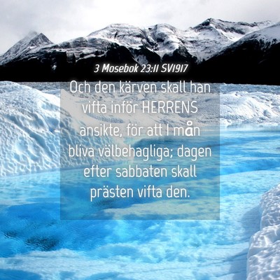 Picture 04 - 3 Mosebok 23:11 SV1917 - Och den kärven skall han vifta inför HERRENS - Bible Verse Picture