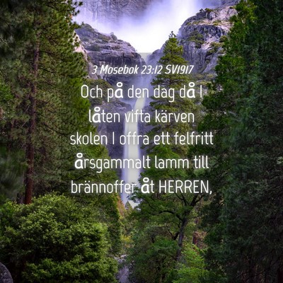 Picture 04 - 3 Mosebok 23:12 SV1917 - Och på den dag då I låten vifta kärven skolen - Bible Verse Picture