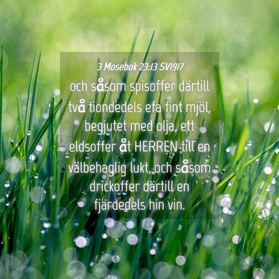 Picture 04 - 3 Mosebok 23:13 SV1917 - och såsom spisoffer därtill två tiondedels efa - Bible Verse Picture