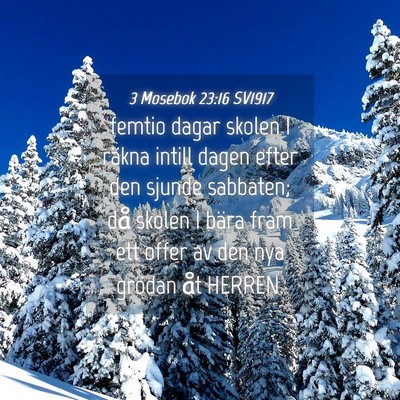 Picture 04 - 3 Mosebok 23:16 SV1917 - femtio dagar skolen I räkna intill dagen efter - Bible Verse Picture