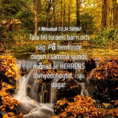 Picture 04 - 3 Mosebok 23:34 SV1917 - Tala till Israels barn och säg: På femtonde - Bible Verse Picture