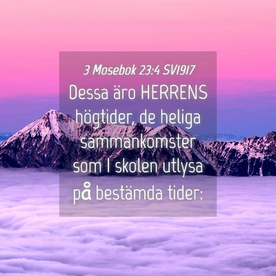 Picture 04 - 3 Mosebok 23:4 SV1917 - Dessa äro HERRENS högtider, de heliga - Bible Verse Picture