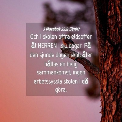 Picture 04 - 3 Mosebok 23:8 SV1917 - Och I skolen offra eldsoffer åt HERREN i sju - Bible Verse Picture