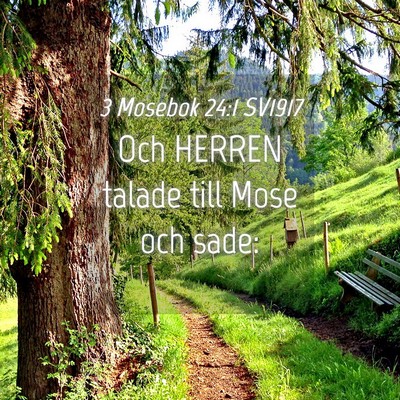 Picture 04 - 3 Mosebok 24:1 SV1917 - Och HERREN talade till Mose och - Bible Verse Picture