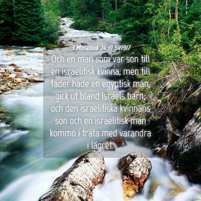 Picture 04 - 3 Mosebok 24:10 SV1917 - Och en man som var son till en israelitisk - Bible Verse Picture