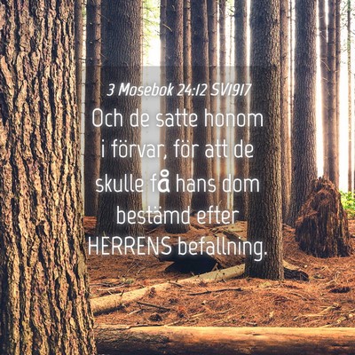 Picture 04 - 3 Mosebok 24:12 SV1917 - Och de satte honom i förvar, för att de skulle - Bible Verse Picture