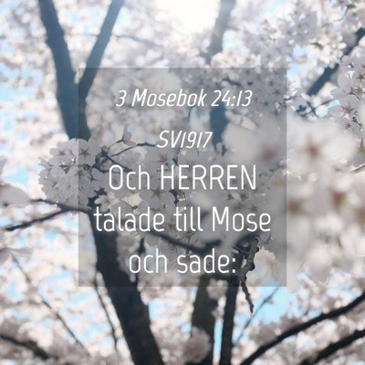 Picture 04 - 3 Mosebok 24:13 SV1917 - Och HERREN talade till Mose och - Bible Verse Picture