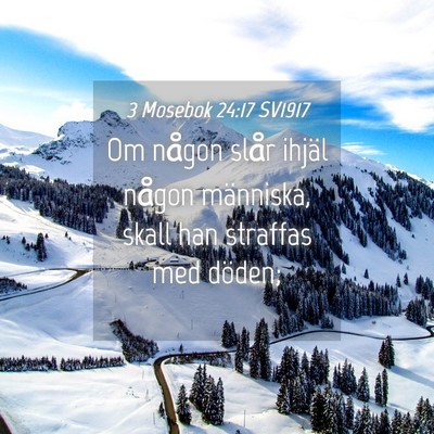 Picture 04 - 3 Mosebok 24:17 SV1917 - Om någon slår ihjäl någon människa, skall - Bible Verse Picture