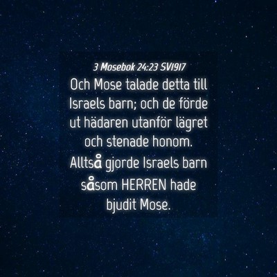 Picture 04 - 3 Mosebok 24:23 SV1917 - Och Mose talade detta till Israels barn; och de - Bible Verse Picture
