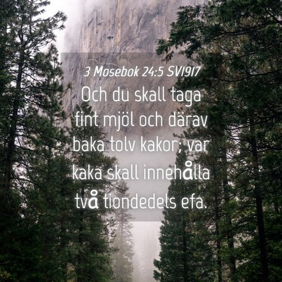 Picture 04 - 3 Mosebok 24:5 SV1917 - Och du skall taga fint mjöl och därav baka tolv - Bible Verse Picture