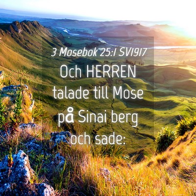 Picture 04 - 3 Mosebok 25:1 SV1917 - Och HERREN talade till Mose på Sinai berg och - Bible Verse Picture