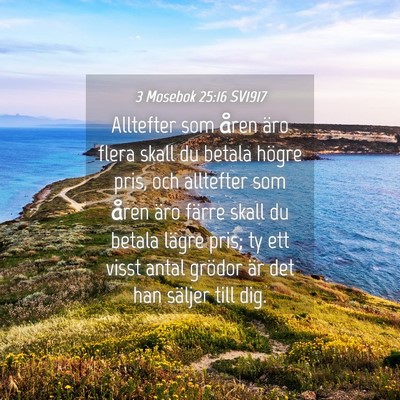 Picture 04 - 3 Mosebok 25:16 SV1917 - Alltefter som åren äro flera skall du betala - Bible Verse Picture
