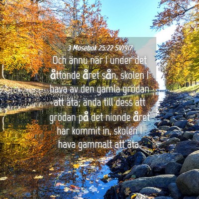 Picture 04 - 3 Mosebok 25:22 SV1917 - Och ännu när I under det åttonde året sån, - Bible Verse Picture