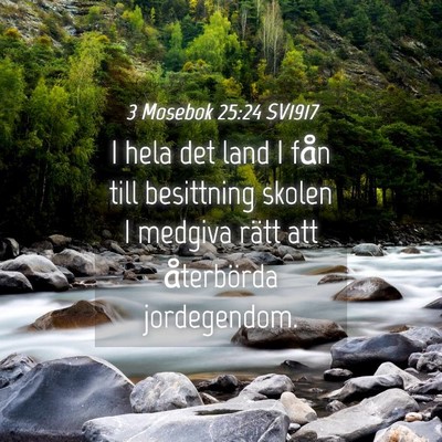 Picture 04 - 3 Mosebok 25:24 SV1917 - I hela det land I fån till besittning skolen I - Bible Verse Picture