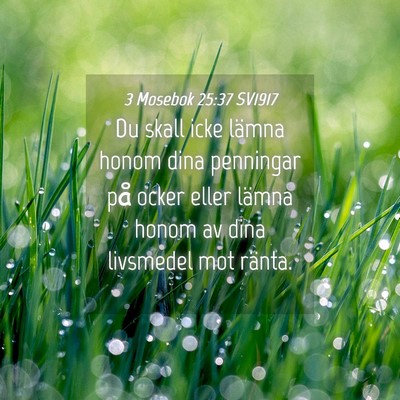 Picture 04 - 3 Mosebok 25:37 SV1917 - Du skall icke lämna honom dina penningar på - Bible Verse Picture