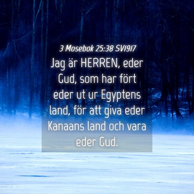 Picture 04 - 3 Mosebok 25:38 SV1917 - Jag är HERREN, eder Gud, som har fört eder ut - Bible Verse Picture