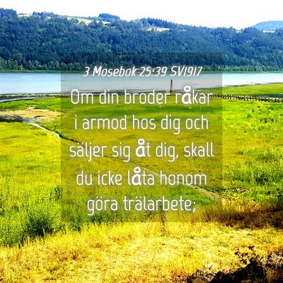 Picture 04 - 3 Mosebok 25:39 SV1917 - Om din broder råkar i armod hos dig och säljer - Bible Verse Picture