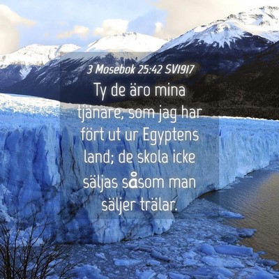 Picture 04 - 3 Mosebok 25:42 SV1917 - Ty de äro mina tjänare, som jag har fört ut ur - Bible Verse Picture