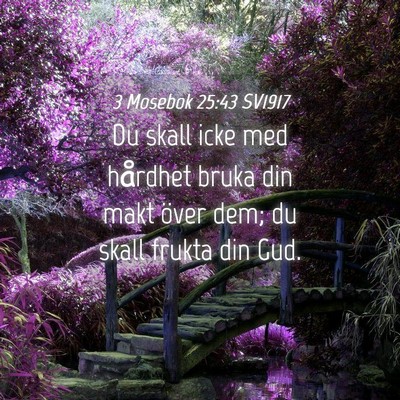 Picture 04 - 3 Mosebok 25:43 SV1917 - Du skall icke med hårdhet bruka din makt över - Bible Verse Picture
