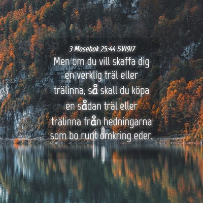 Picture 04 - 3 Mosebok 25:44 SV1917 - Men om du vill skaffa dig en verklig träl eller - Bible Verse Picture
