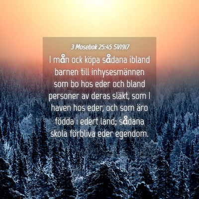 Picture 04 - 3 Mosebok 25:45 SV1917 - I mån ock köpa sådana ibland barnen till - Bible Verse Picture
