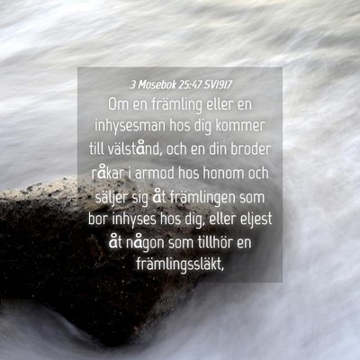 Picture 04 - 3 Mosebok 25:47 SV1917 - Om en främling eller en inhysesman hos dig - Bible Verse Picture