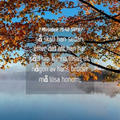 Picture 04 - 3 Mosebok 25:48 SV1917 - så skall han sedan, efter det att han har sålt - Bible Verse Picture