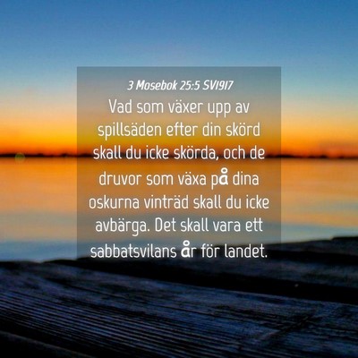 Picture 04 - 3 Mosebok 25:5 SV1917 - Vad som växer upp av spillsäden efter din - Bible Verse Picture