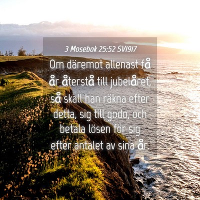 Picture 04 - 3 Mosebok 25:52 SV1917 - Om däremot allenast få år återstå till - Bible Verse Picture