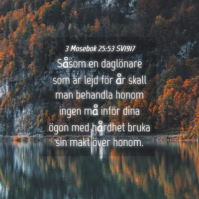 Picture 04 - 3 Mosebok 25:53 SV1917 - Såsom en daglönare som är lejd för år skall - Bible Verse Picture