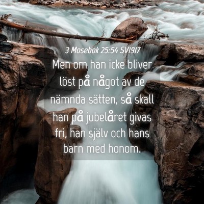 Picture 04 - 3 Mosebok 25:54 SV1917 - Men om han icke bliver löst på något av de - Bible Verse Picture