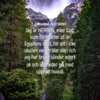 Picture 04 - 3 Mosebok 26:13 SV1917 - Jag är HERREN, eder Gud, som förde eder ut ur - Bible Verse Picture