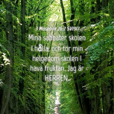 Picture 04 - 3 Mosebok 26:2 SV1917 - Mina sabbater skolen I hålla, och för min - Bible Verse Picture