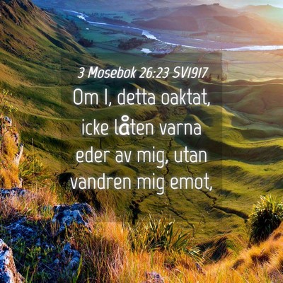 Picture 04 - 3 Mosebok 26:23 SV1917 - Om I, detta oaktat, icke låten varna eder av - Bible Verse Picture