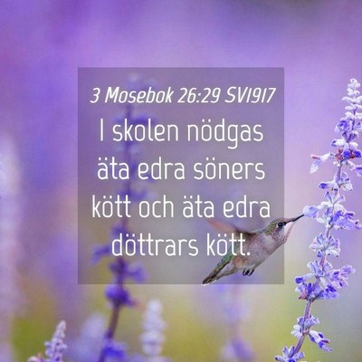 Picture 04 - 3 Mosebok 26:29 SV1917 - I skolen nödgas äta edra söners kött och äta - Bible Verse Picture
