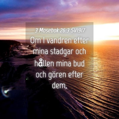 Picture 04 - 3 Mosebok 26:3 SV1917 - Om I vandren efter mina stadgar och hållen mina - Bible Verse Picture