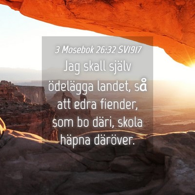 Picture 04 - 3 Mosebok 26:32 SV1917 - Jag skall själv ödelägga landet, så att edra - Bible Verse Picture