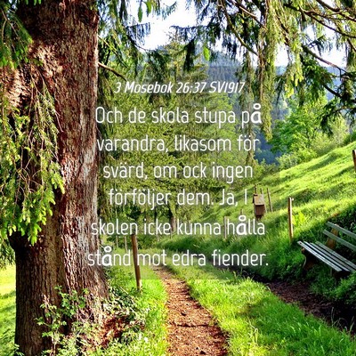 Picture 04 - 3 Mosebok 26:37 SV1917 - Och de skola stupa på varandra, likasom för - Bible Verse Picture