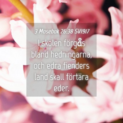 Picture 04 - 3 Mosebok 26:38 SV1917 - I skolen förgås bland hedningarna, och edra - Bible Verse Picture