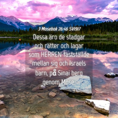 Picture 04 - 3 Mosebok 26:46 SV1917 - Dessa äro de stadgar och rätter och lagar som - Bible Verse Picture