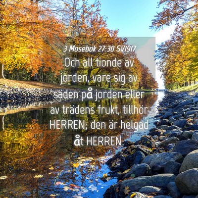 Picture 04 - 3 Mosebok 27:30 SV1917 - Och all tionde av jorden, vare sig av säden på - Bible Verse Picture